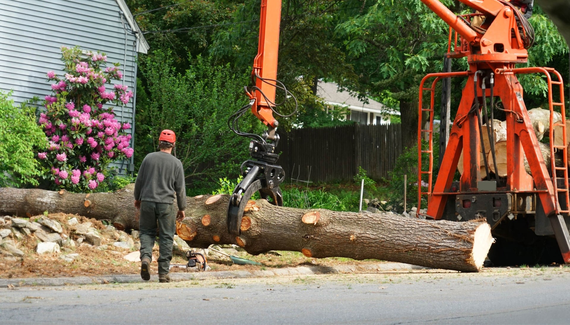 Local partner for Tree removal services in Northern Kentucky